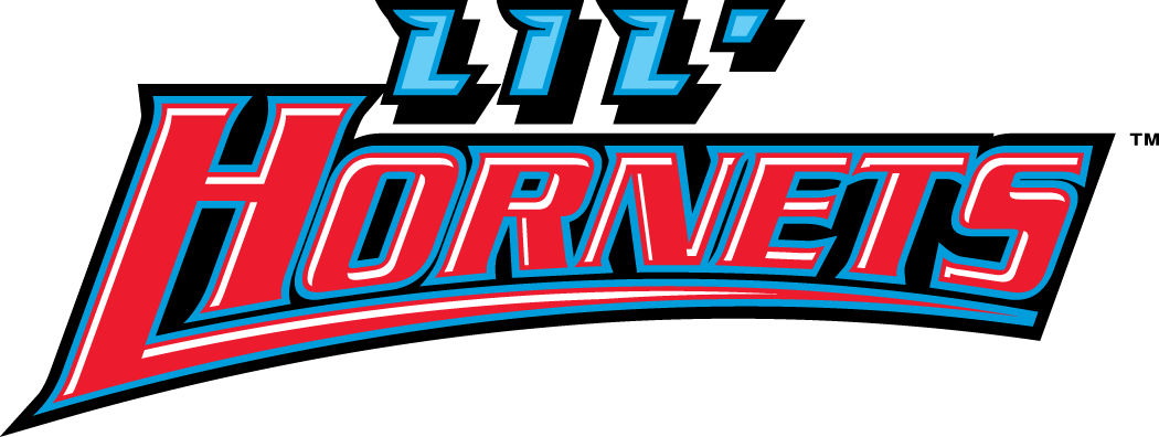 Delaware State Hornets 2004-Pres Misc Logo v3 DIY iron on transfer (heat transfer)
